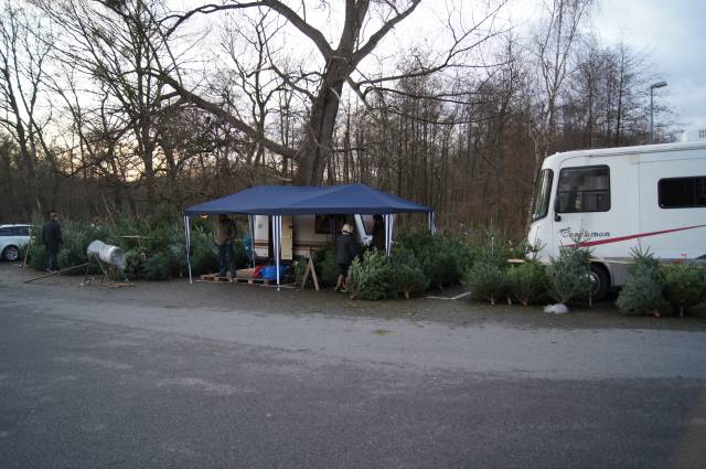 Weihnachtsbaum Ratingen, Kölner Str. in Ratingen