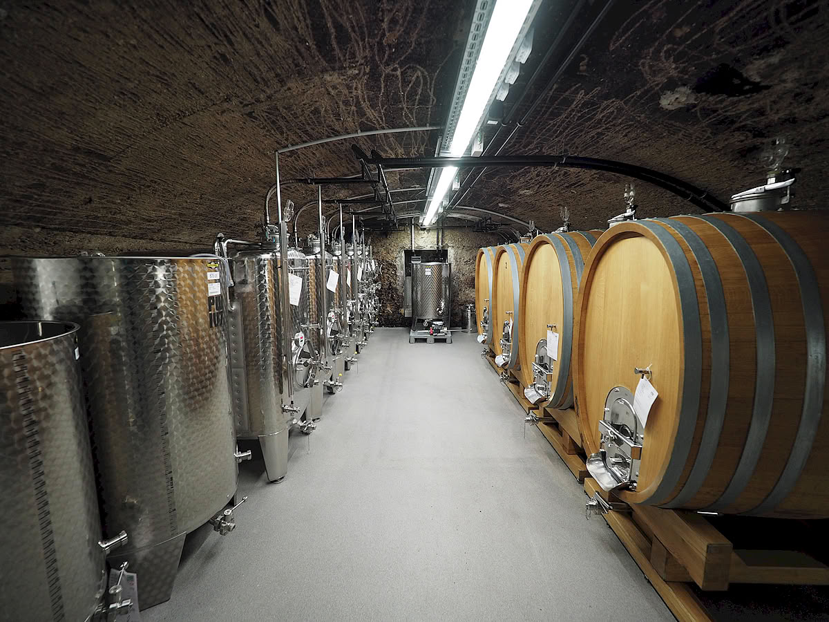 Weingut Lamm-Jung KG, Eberbacher Straße in Eltville-Erbach