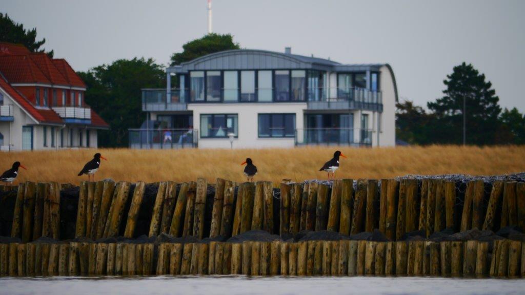 Küstentraum Duhnen, Dünenweg in Cuxhaven
