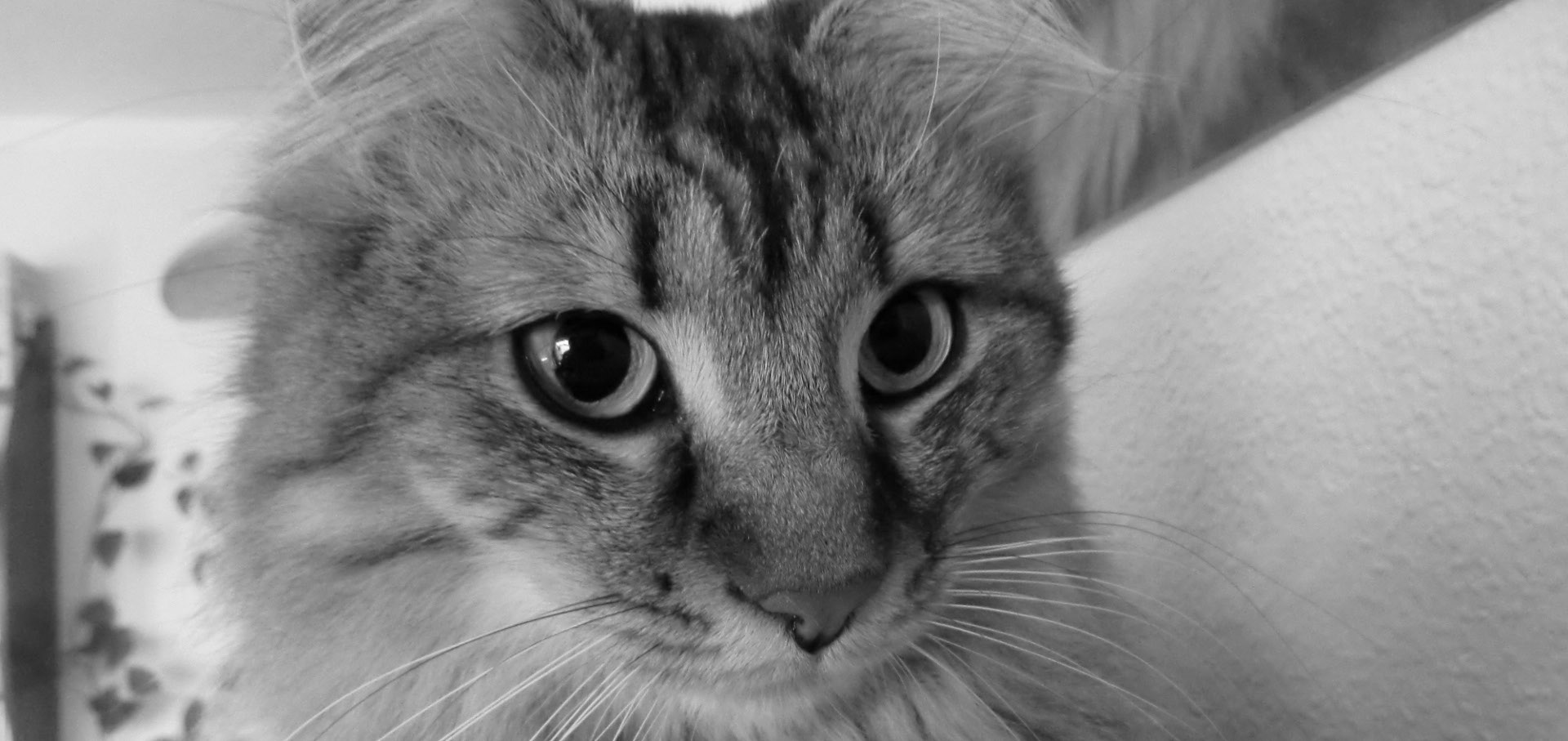 Futtereck, Kirchstrasse in Wertingen