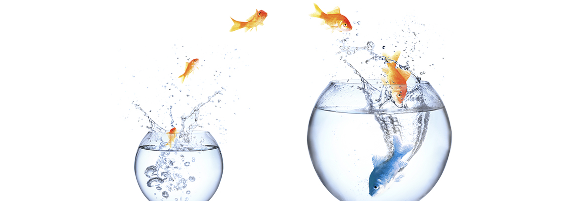 Thought Leader Systems GmbH, Feldstraße in Hofheim am Taunus