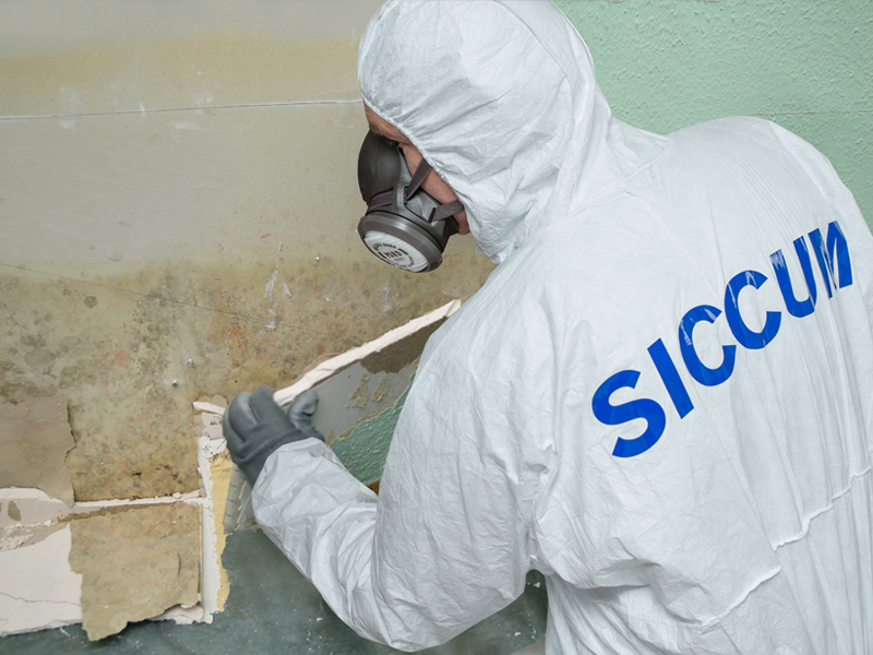 SICCUM Trocknungs GmbH, Hundehäger Weg in Kröpelin