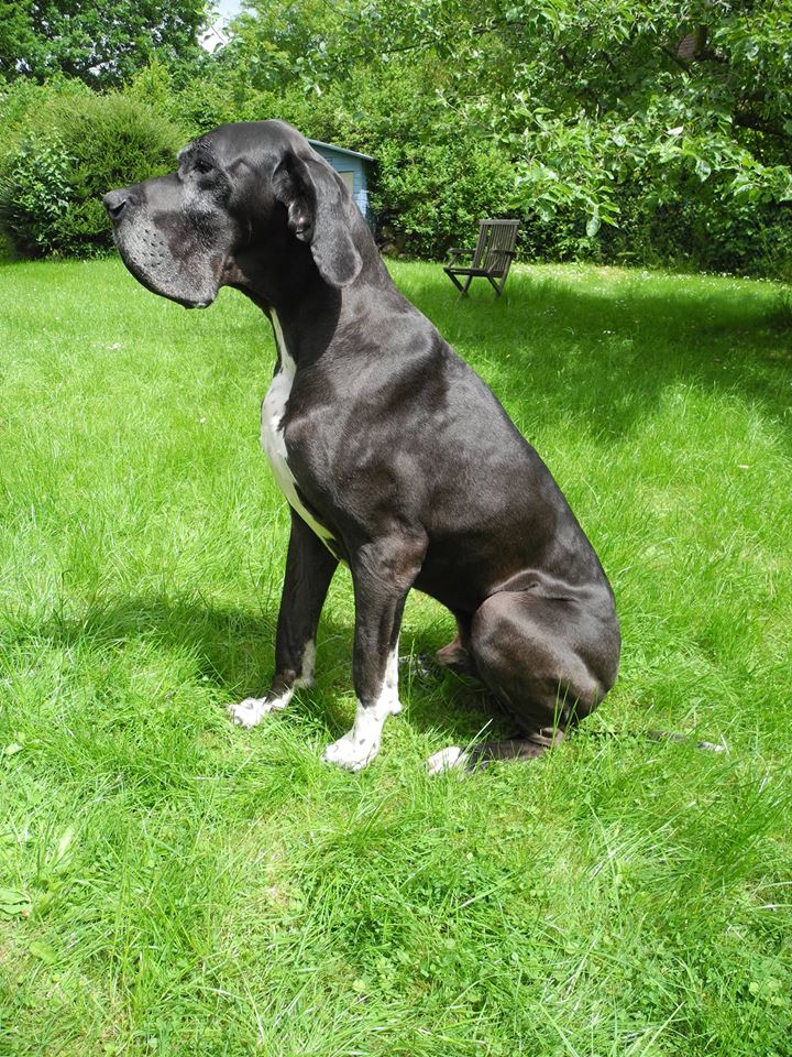 Lumpis Petfit, Im Dahler Feld in Selm