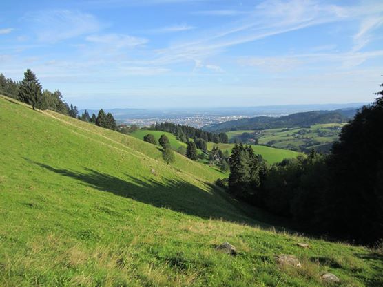 Finanzdienstleistungen Andreas Wörner, Unterhaldenweg in Horben