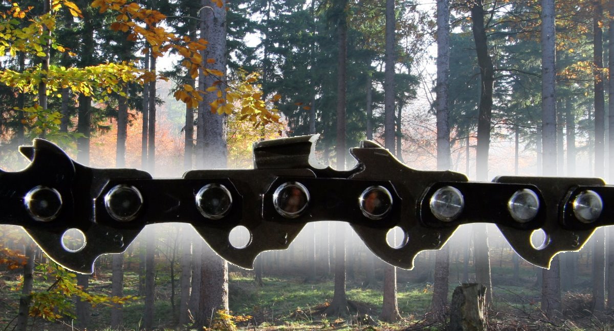 maxx-garden GmbH & Co. KG, Eisenacher Landstraße in Waltershausen