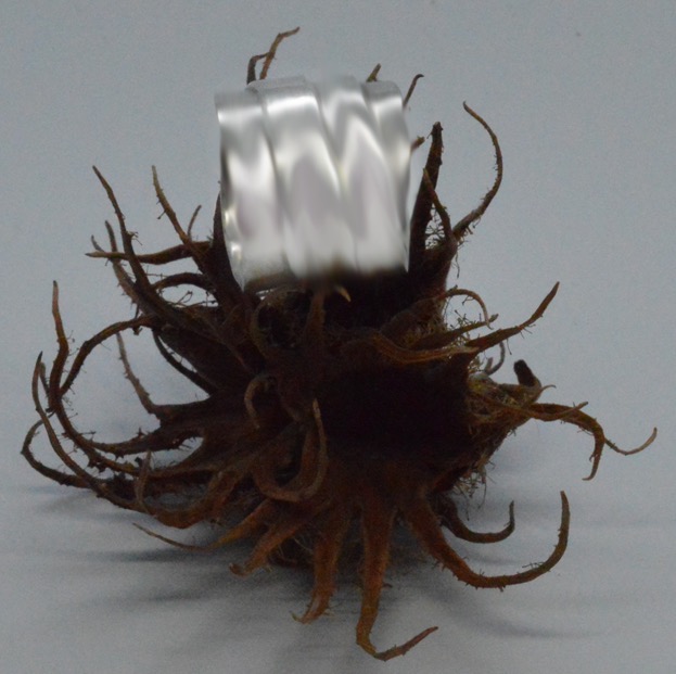 Silverdigger, Bürknerstrasse in Berlin