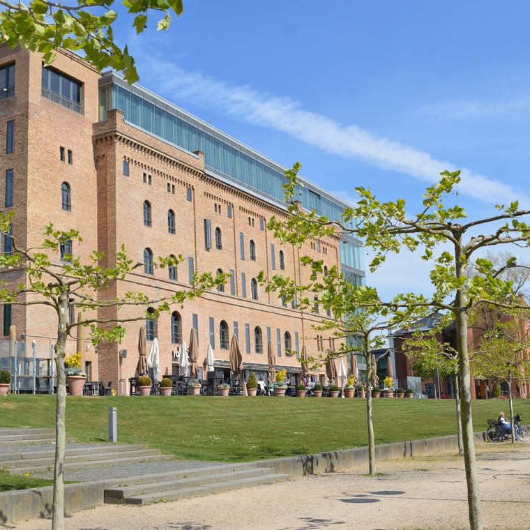 Scopevisio AG, Rheinwerkallee in Bonn