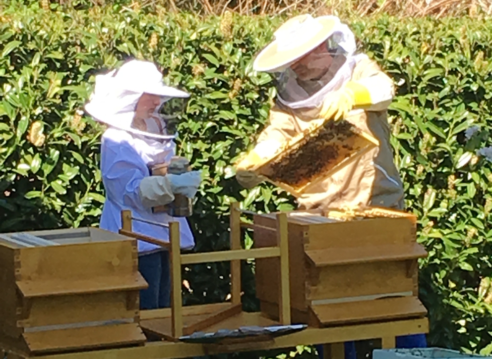 Die Honigbiene.de, Hebelstraße in Hausen im Wiesental