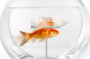 J.O.B.ideas | Karrierecoaching für Frauen Düsseldorf, Lützowstr. in Düsseldorf