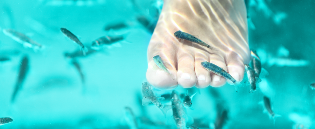 Fische Füße, Brühl in Leipzig