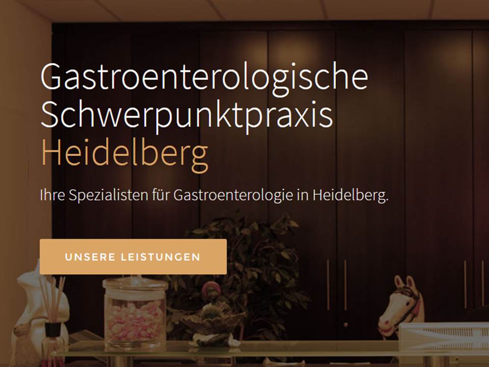 Gastroenterologische Schwerpunktpraxis Heidelberg, Dr. Friedrich und Prof. Sieg, Bergheimer Straße in Heidelberg