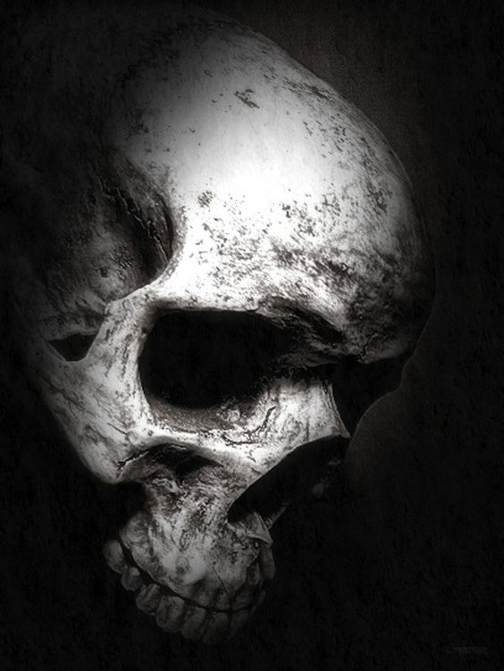 Secret-Art-Tattoo, Bürgermeister-Smidt-Str. in Bremen