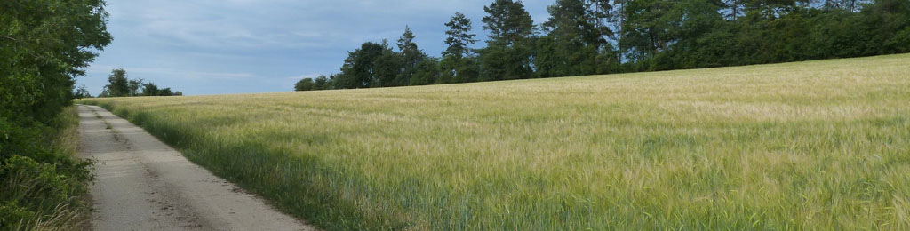 Heilpraktiker für Psychotherapie Tobias Assmann, Modersohnstraße in Berlin