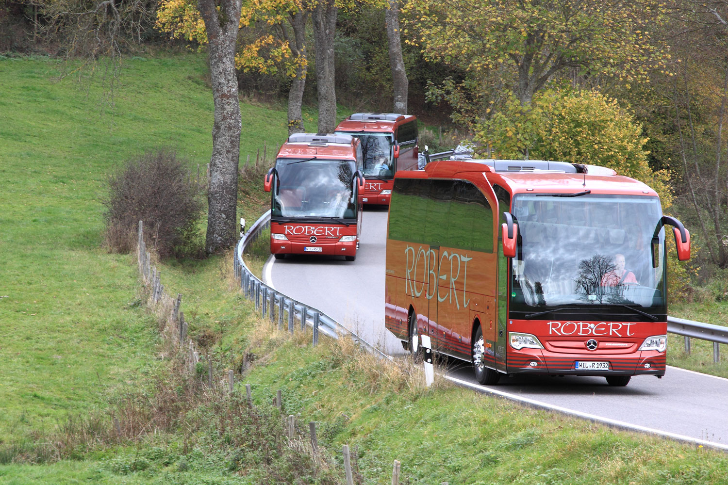 ROBERT-Reisen, Langemer Straße in Thalfang