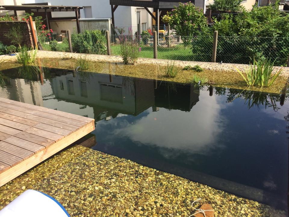 DT Poethen Koi und Teichbau, Stapper Weg in Mönchengladbach