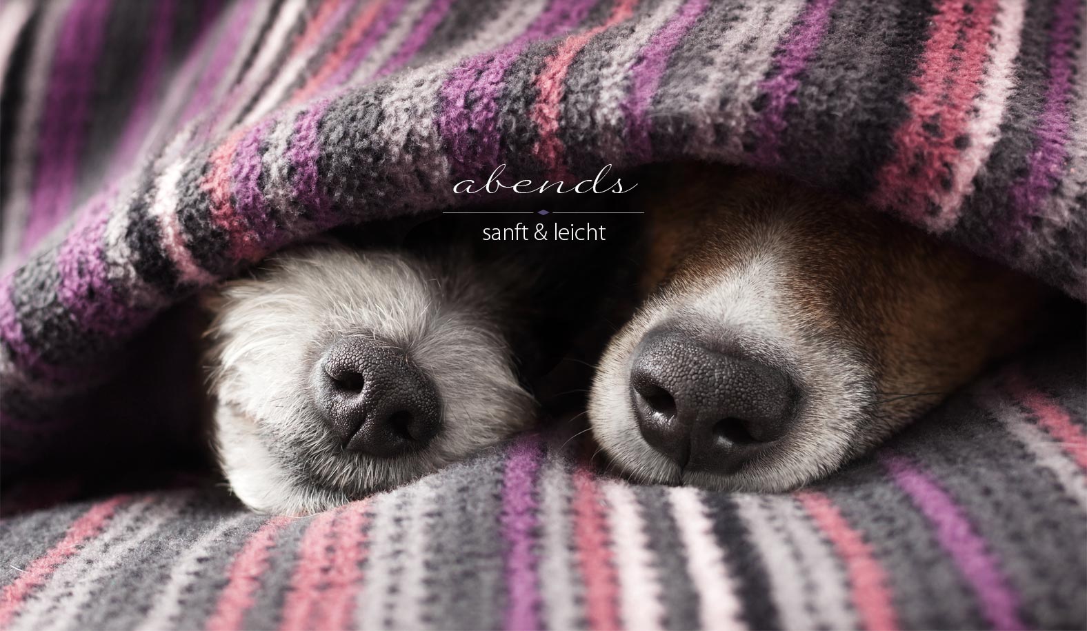 HKP – Hamburger Konzeptprodukte GmbH & Co. KG, Bröers Treppe in Hamburg