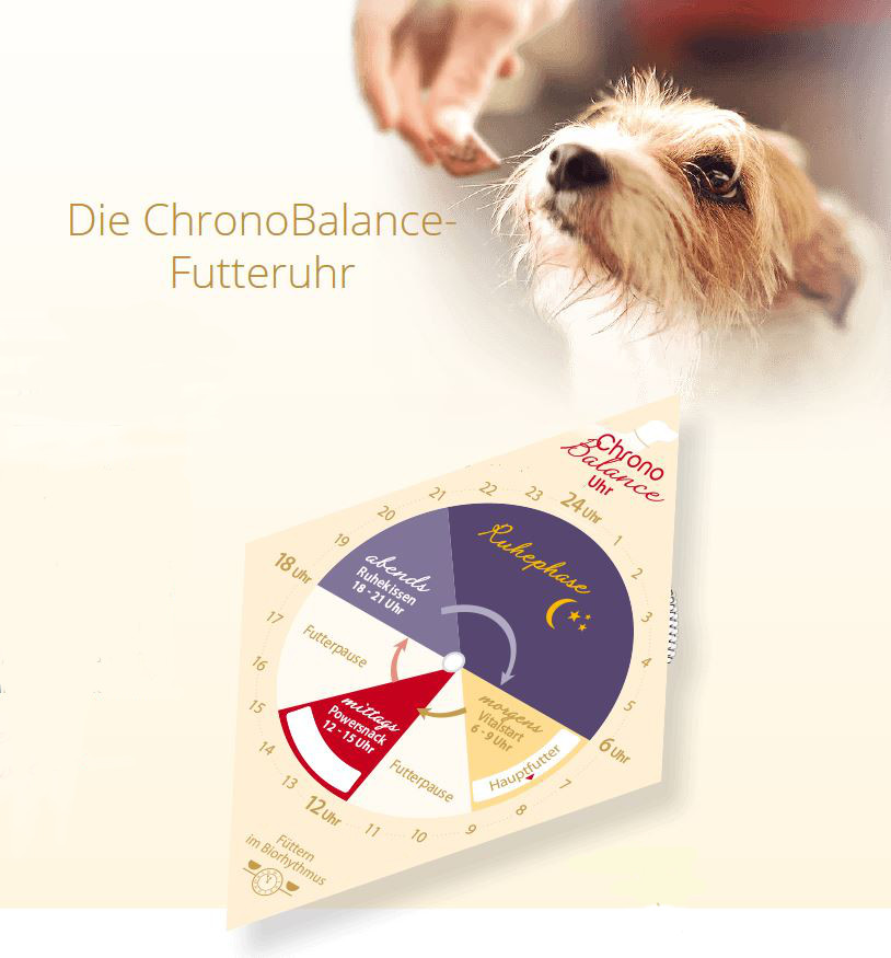 HKP – Hamburger Konzeptprodukte GmbH & Co. KG, Bröers Treppe in Hamburg