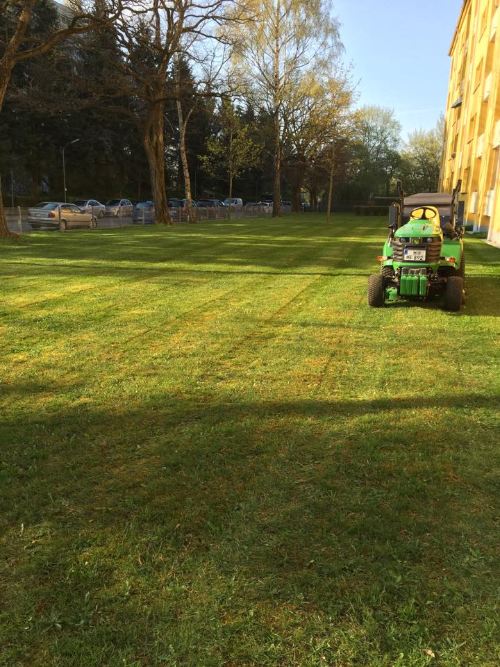 Hausmeister Fritsch, Lerchenauer Straße in München