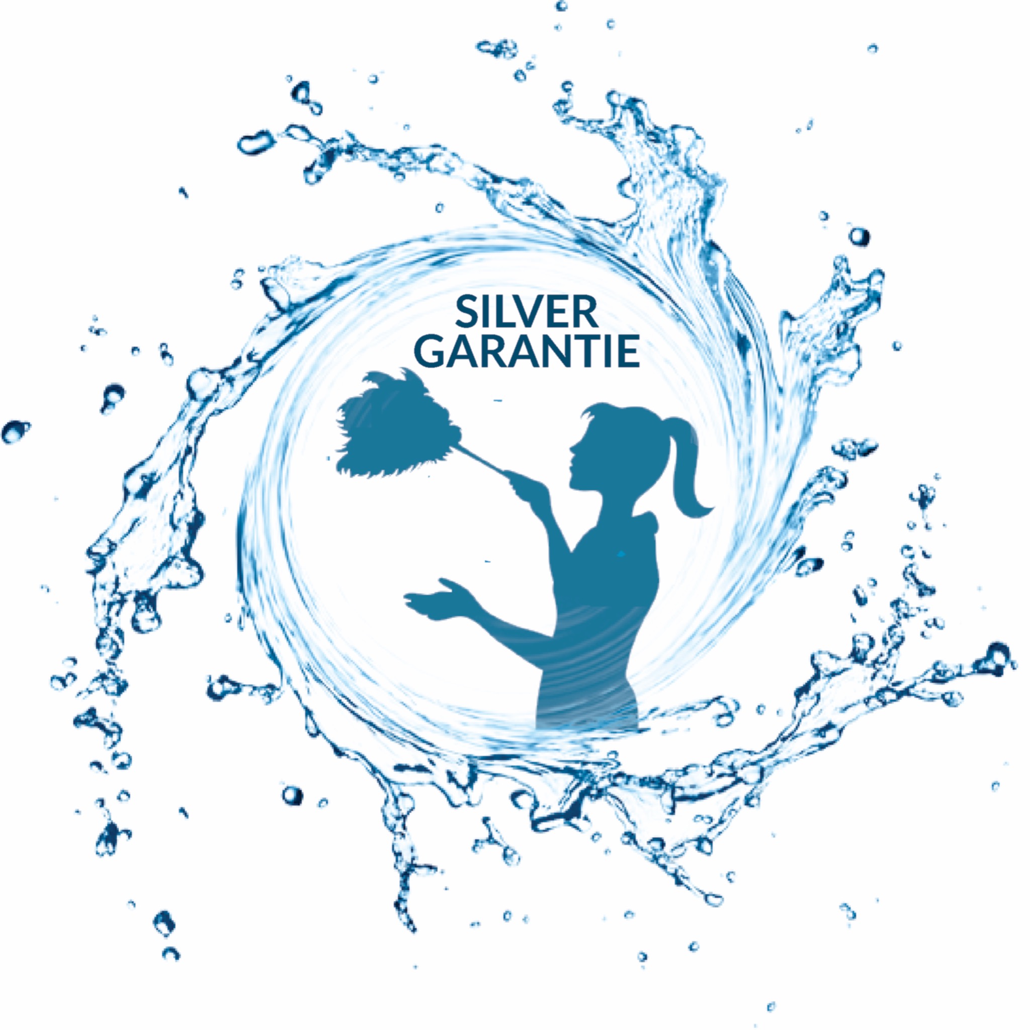 Silver Umzug und Reinigung, Gartenstrasse in Olten