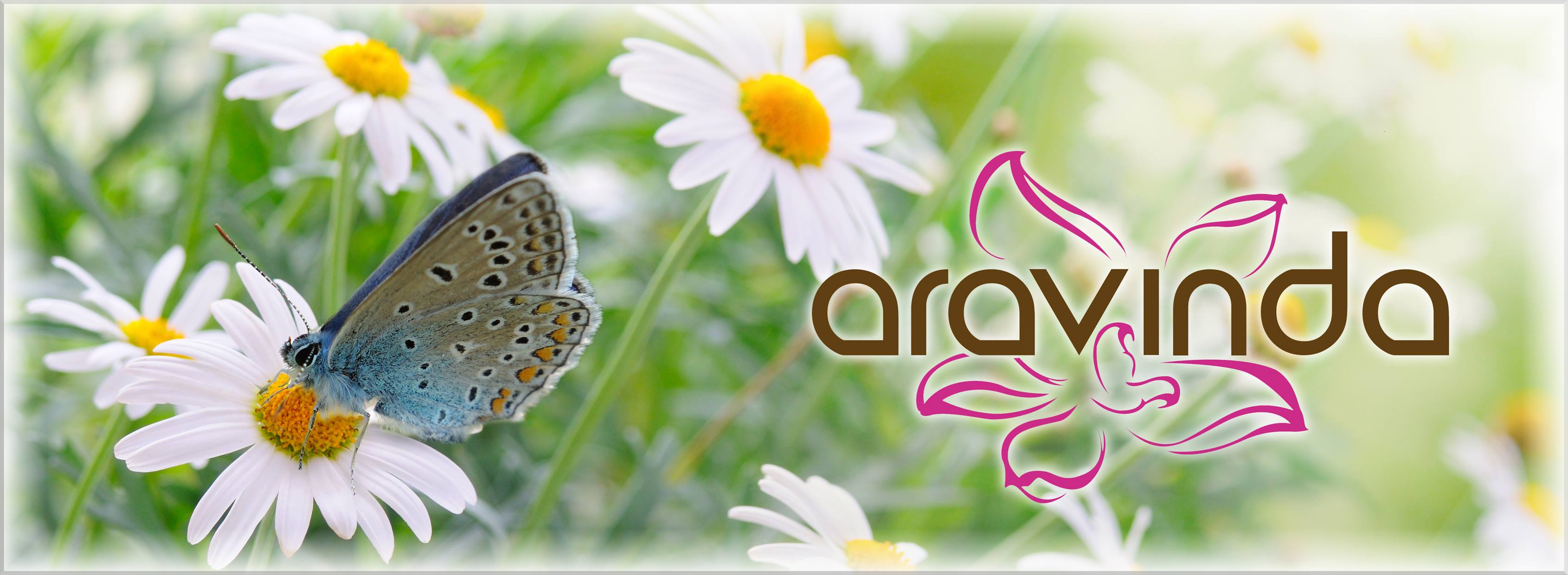 Massagepraxis Aravinda, Hochstraße in Gelsenkirchen