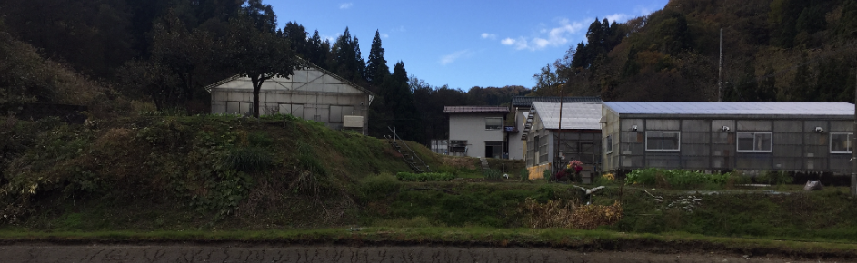 Koi Area, Parisstr. in Neuss