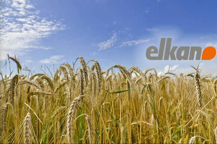 Elkan GmbH Ratingen, Papiermühlenweg in Ratingen