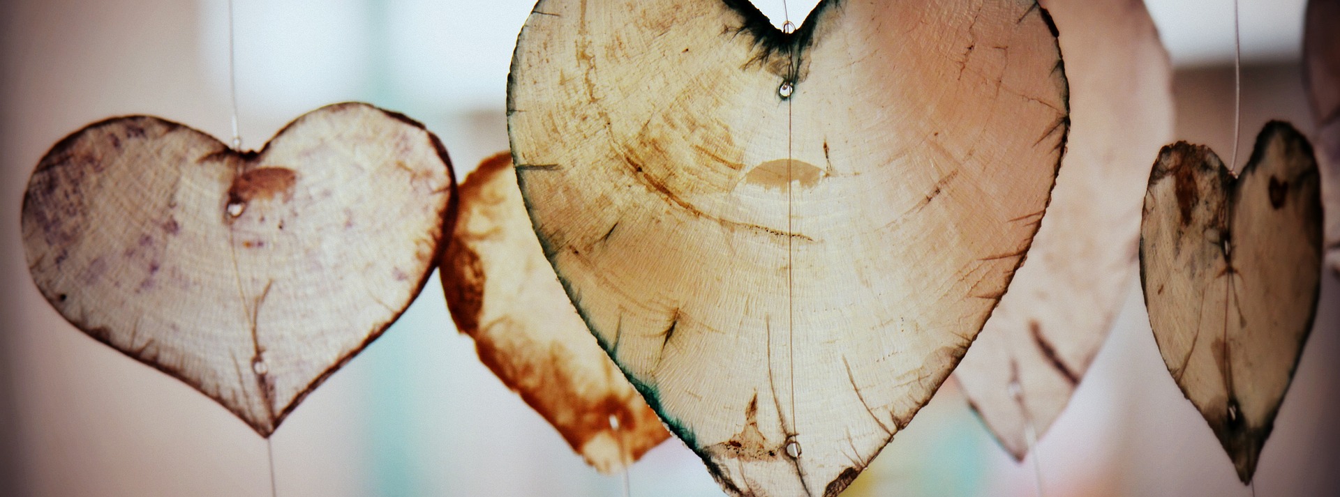 PARTNERSCHAFT LERNEN, Vorgebirgstraße in Köln
