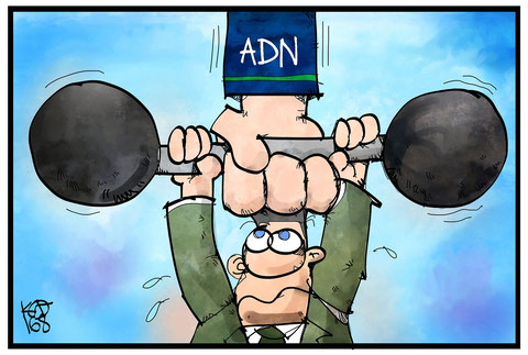 ADN Schuldnerberatung Kiel, Schloßgarten in Kiel