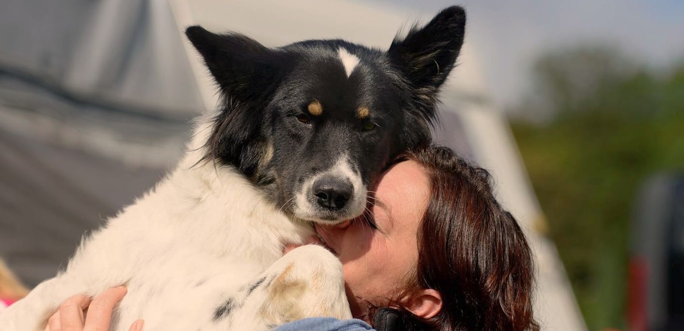 My Dog Days GmbH, Schinkelshütte in Willich