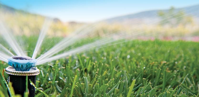 aqua.naturale Beregnung, Hammer Landstraße in Neuss