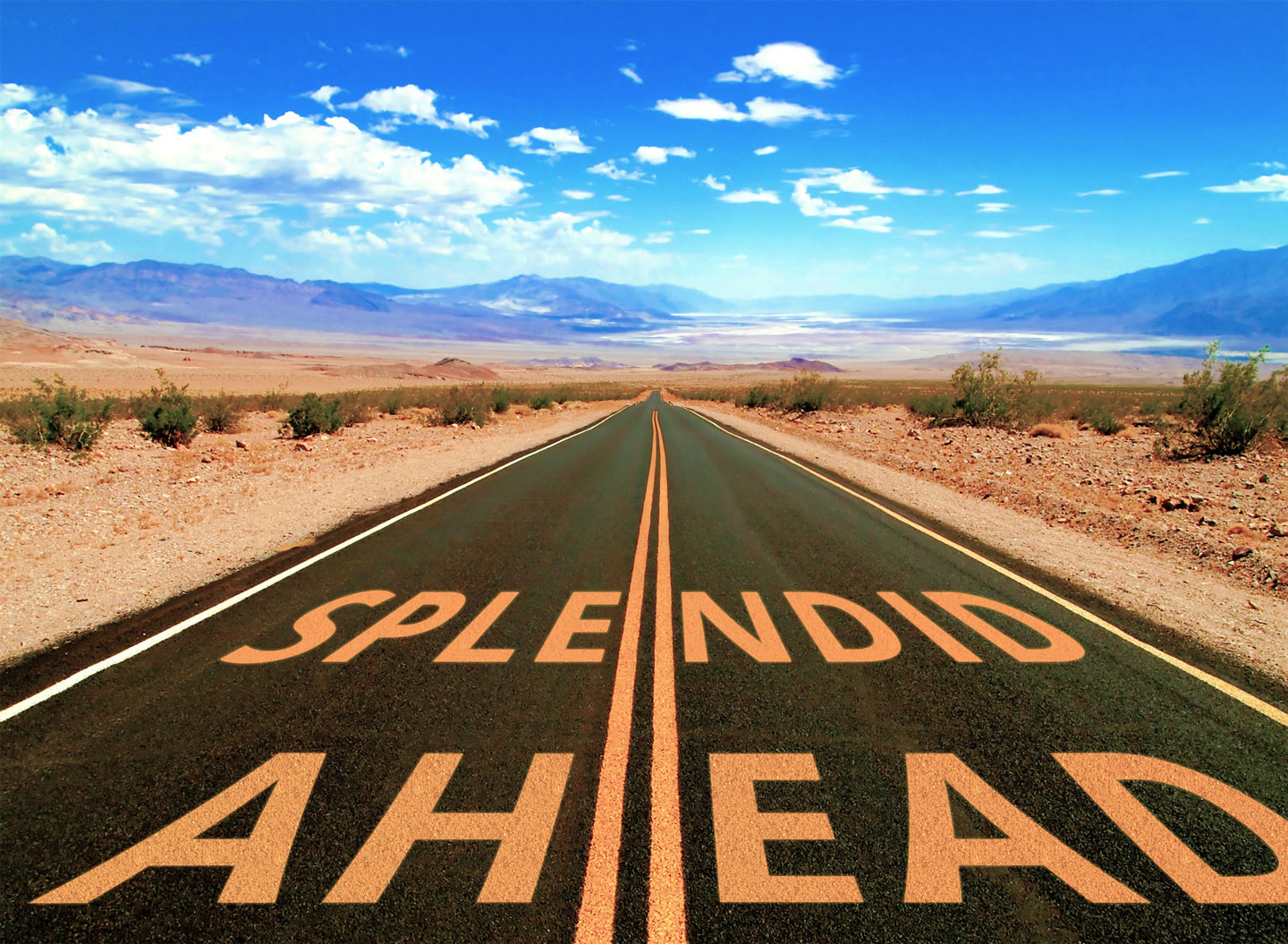 Splendid Marketing, An der Eschollmühle in Darmstadt