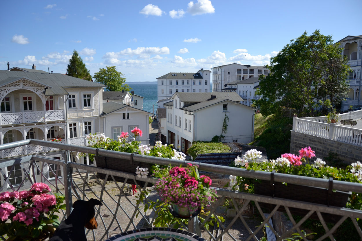 Manufaktur für Hundeleinen aus Segeltau | INSELKÖTER Rügen, Marktstraße in Sassnitz