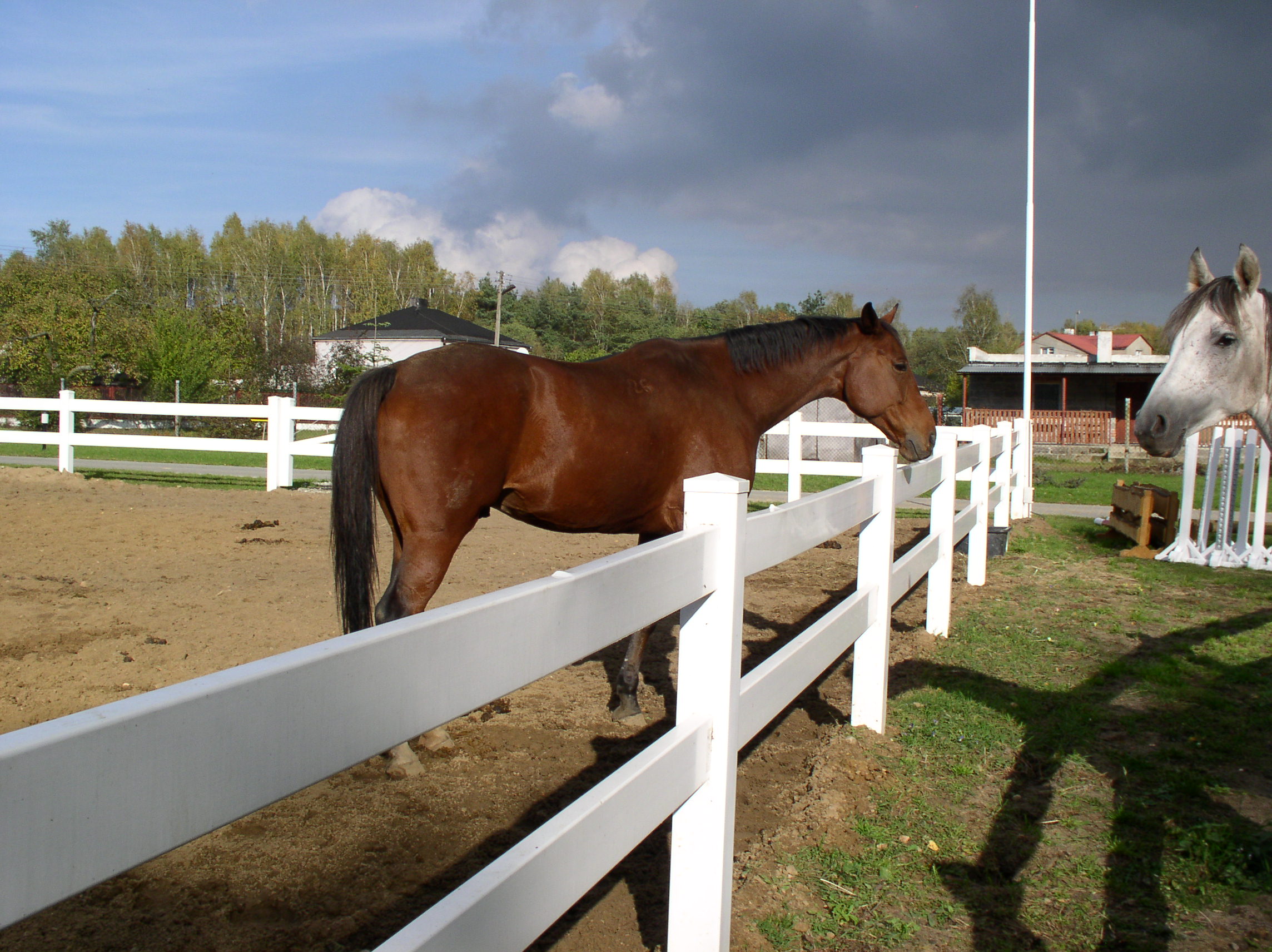 Kunststoffzaun Berlin, Ringweg in Kleinmachnow