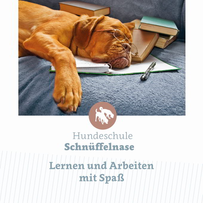 Hundeschule Schnüffelnase, Industriestrasse in Winnenden