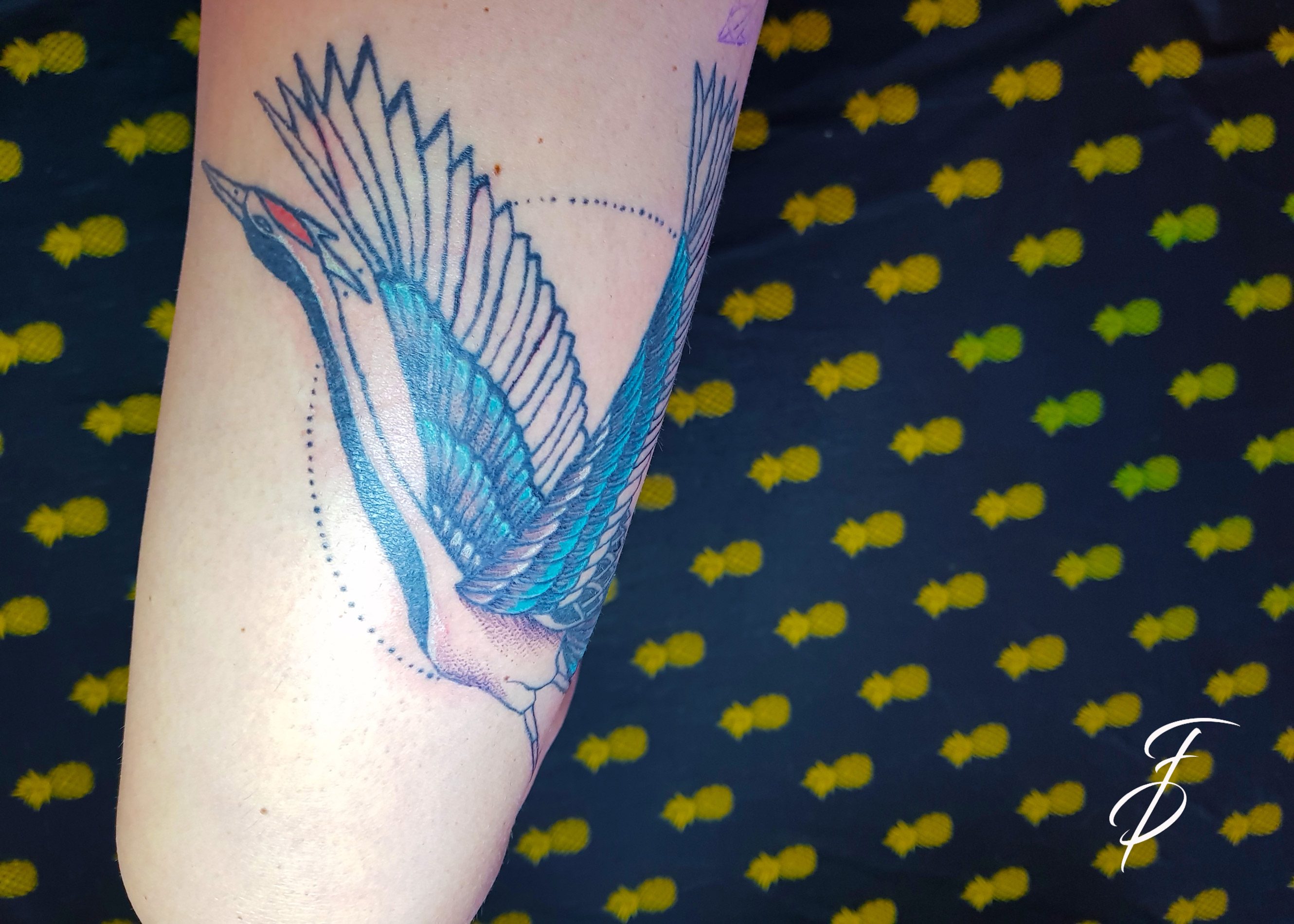 Fancy Pain Tattoo, Templerweg in Münster