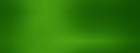 Schimmelbeseitigung Hannover, Geibelstraße in Hannover