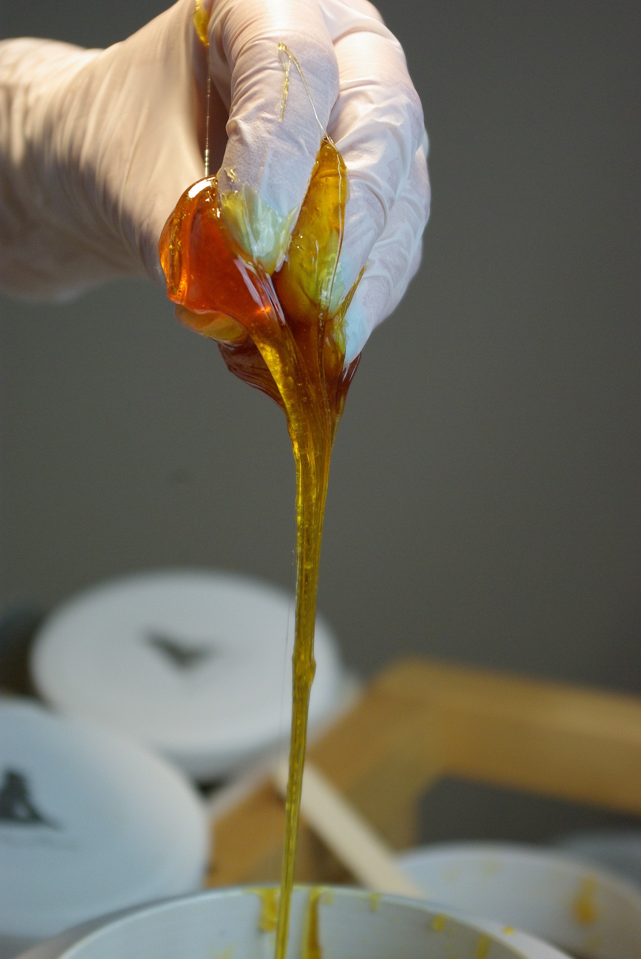 Zucker-Venus | Wimpernlifting | Haarentfernung | Sugaring | Magdeburg, Baumschulenweg in Magdeburg