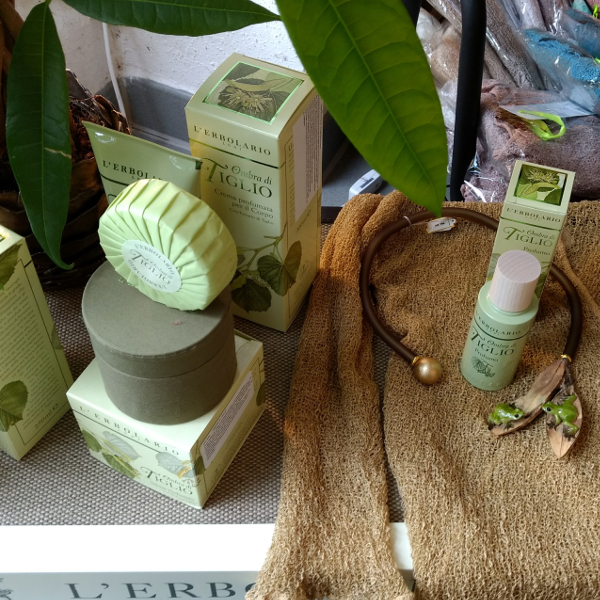 Wisteria´s Room, Lindenstraße in Potsdam