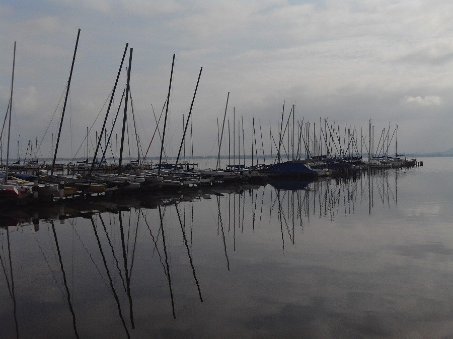 Bootsverleih Kiehorn / Steg N 21 / Bootsliegeplatzvermietung, Uferweg in Neustadt am Rübenberge