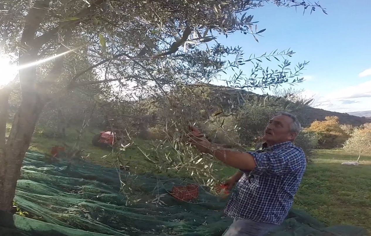 Zum Ölbaron, Hochstiftstraße in Regensburg