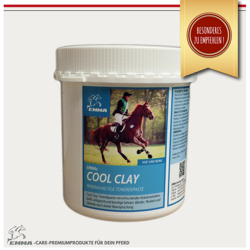 EMMA Eventing GmbH, zur Tholenburg in Bippen