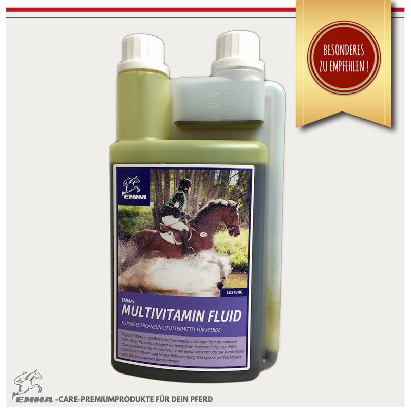 EMMA Eventing GmbH, zur Tholenburg in Bippen