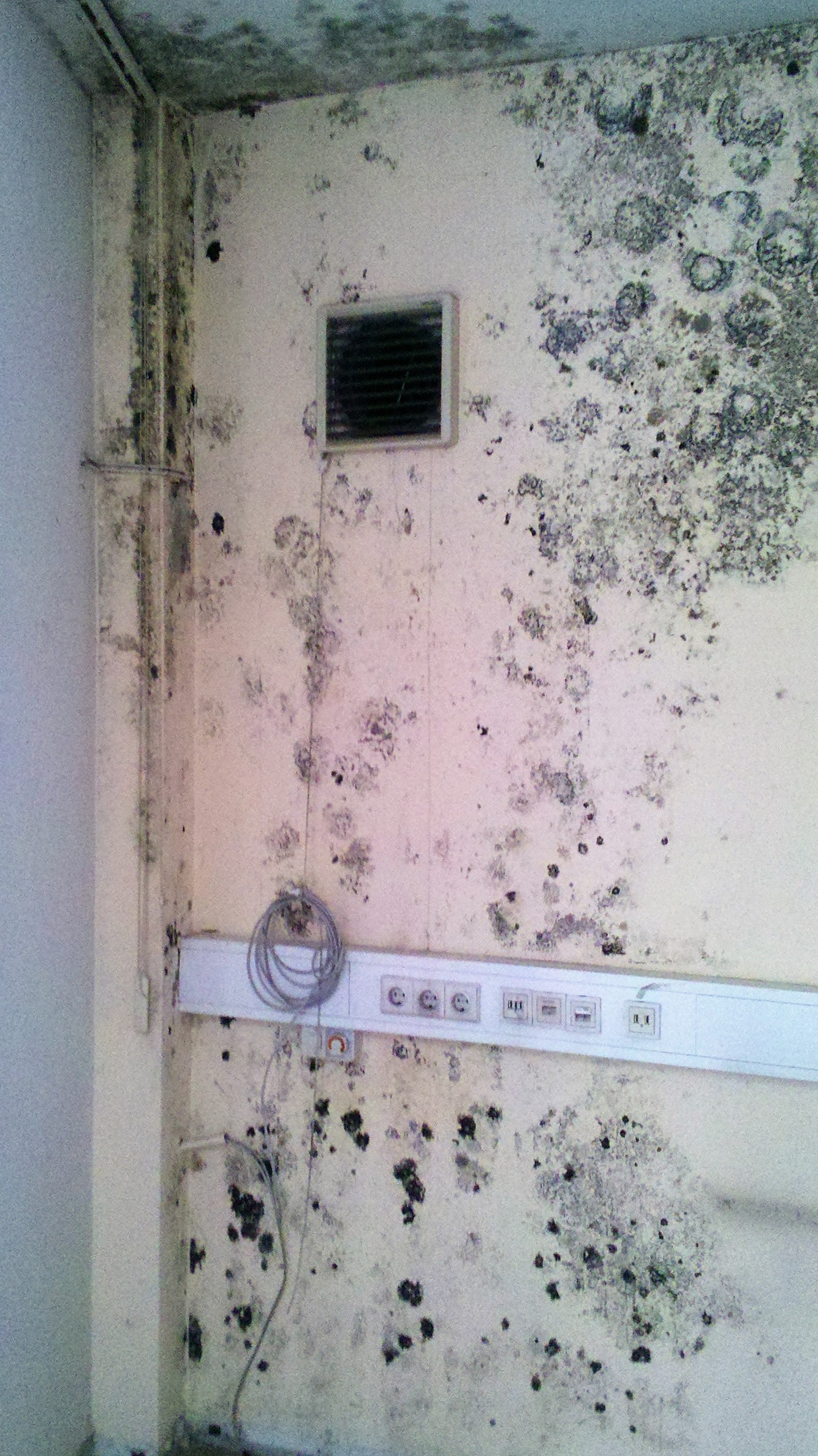 Abtec ...der Abdichtprofi!, Pohlhofstraße in Köln