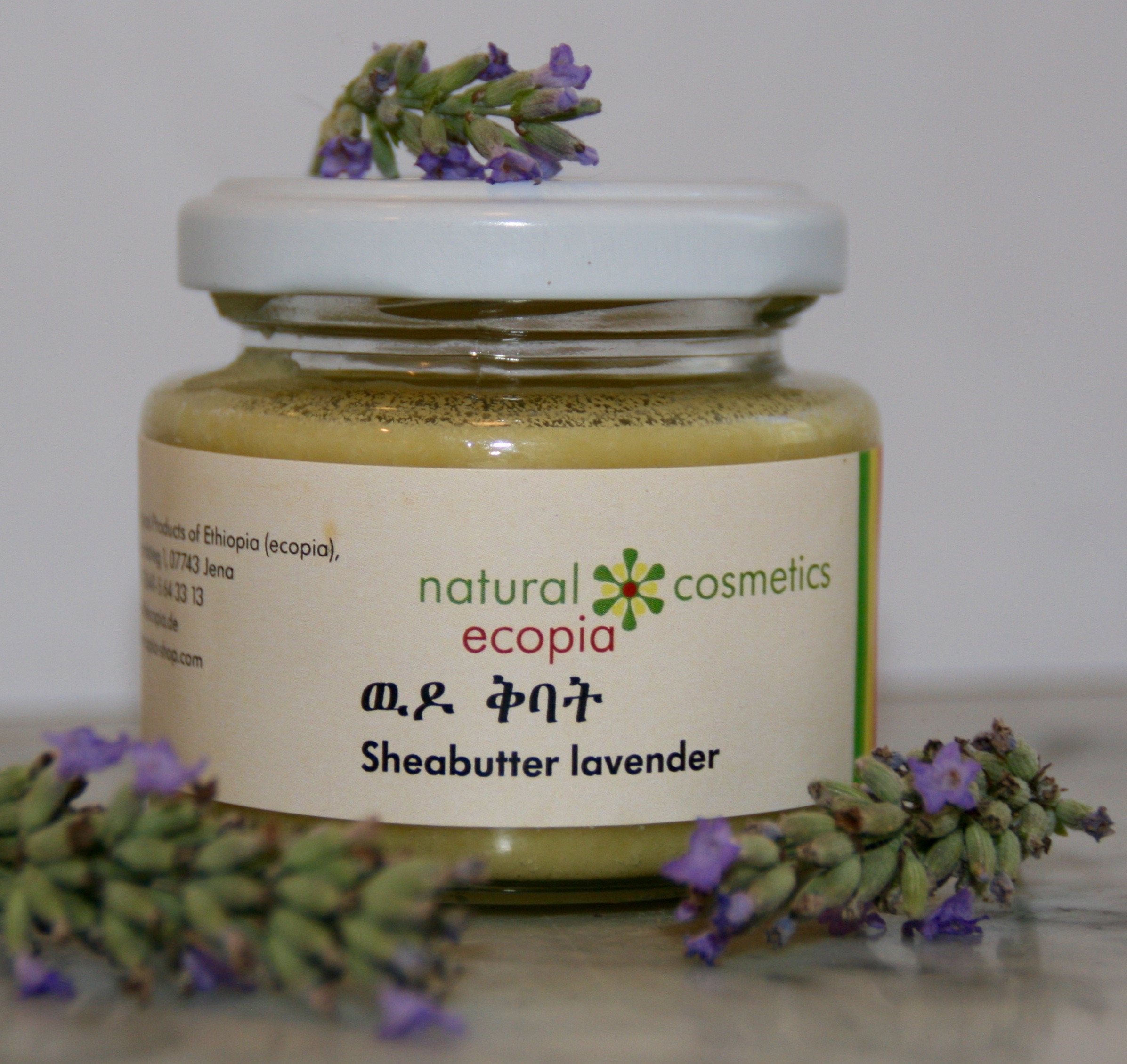 Ecopia UG, Reichardstige 1 in Thüringen - Jena