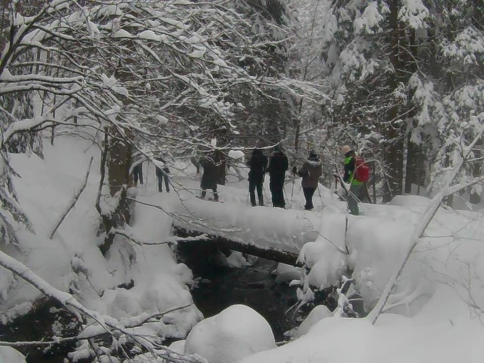 Sport Alm Bodenmais, Rechensöldenweg in Bodenmais
