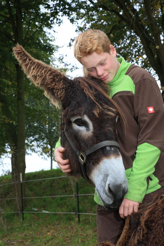 Max Arche-Park gUG (haftungsbeschränkt), Rosengartenweg in Amt Neuhaus