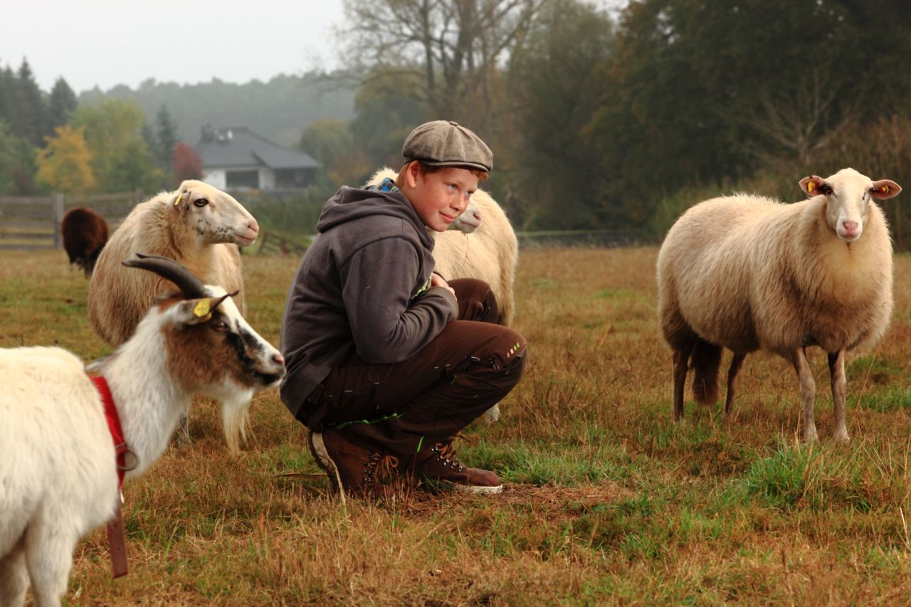 Max Arche-Park gUG (haftungsbeschränkt), Rosengartenweg in Amt Neuhaus