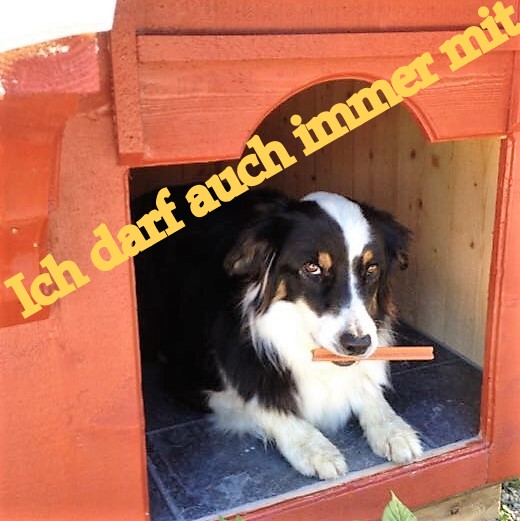 Kastencamp Jux & Pludra GbR, Meiereidamm in Langwedel