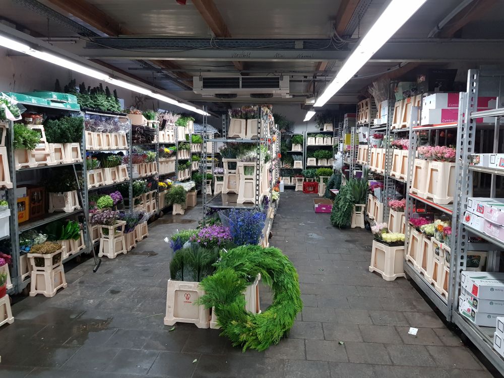 Blumengroßhandel Johnny Heemskerk Cash & Carry Wuppertal, Bruch in Wuppertal