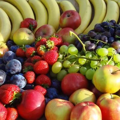 My vita shop, Alpenstraße in Salzburg